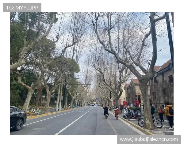 快速访问ag厅k8登录线路的多种方法与技巧详解