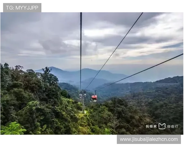 马来西亚云顶网址登录教程，详细步骤帮助你顺利进入云顶娱乐平台